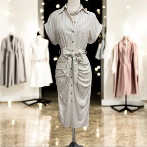 Antonio Melani Striped Tie-Waist Ruched Button Front Shirtdress